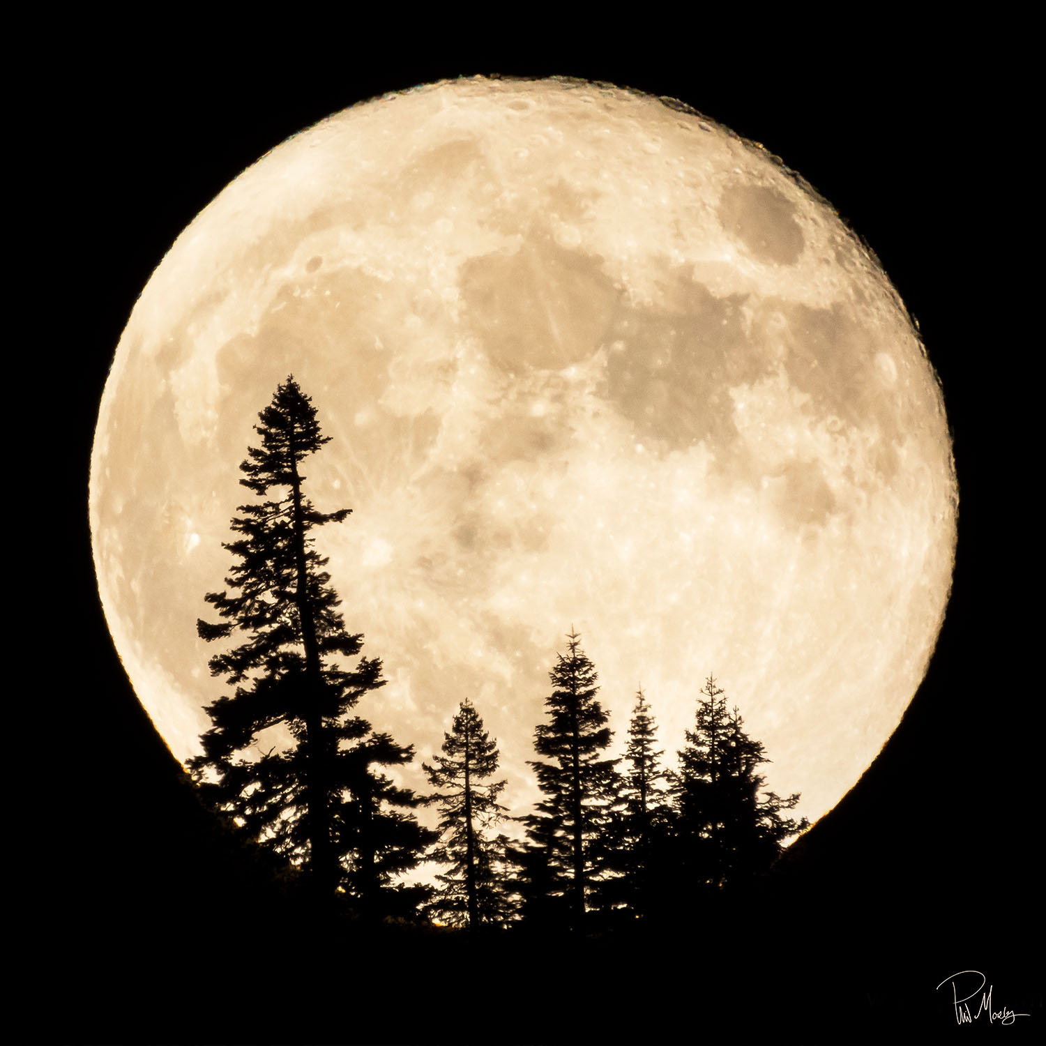 Jimmy Moon! A full super 
