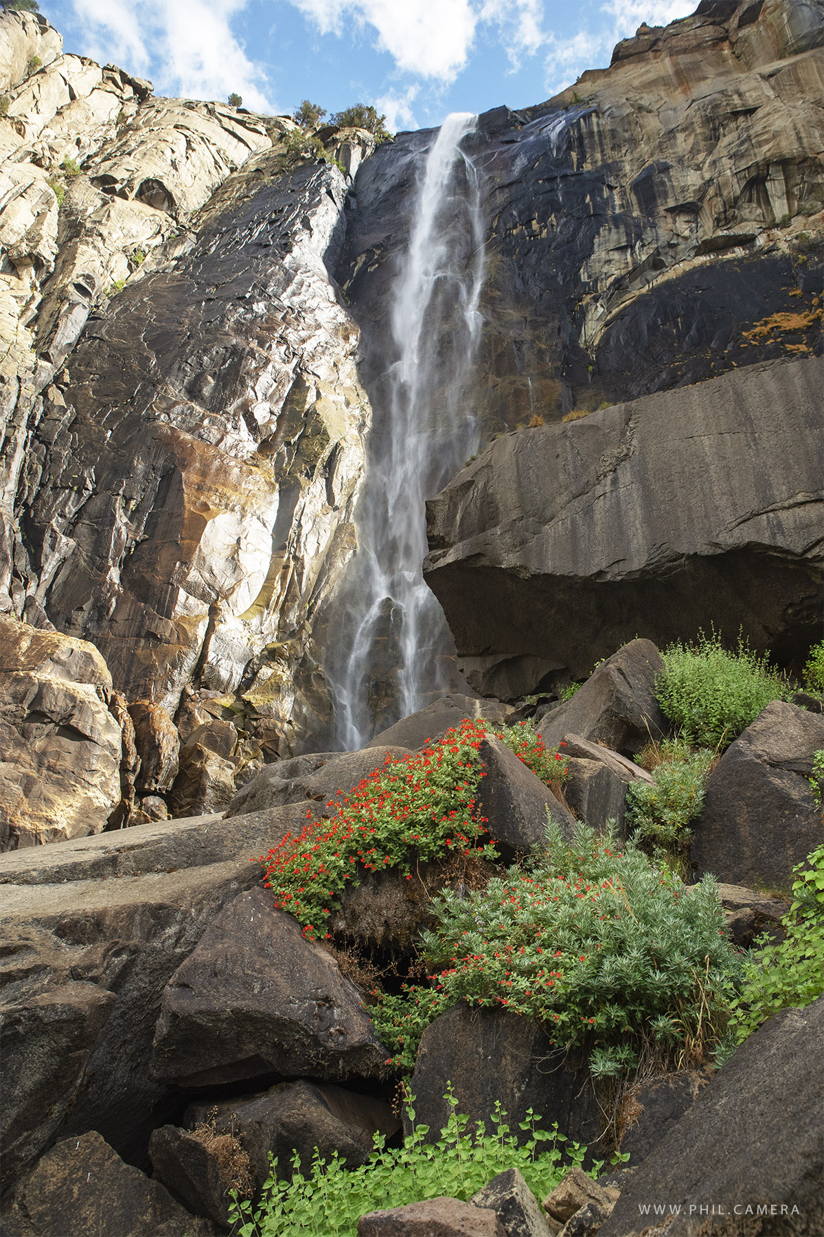 Autumn Bloom at Bridalveil Fall. Th