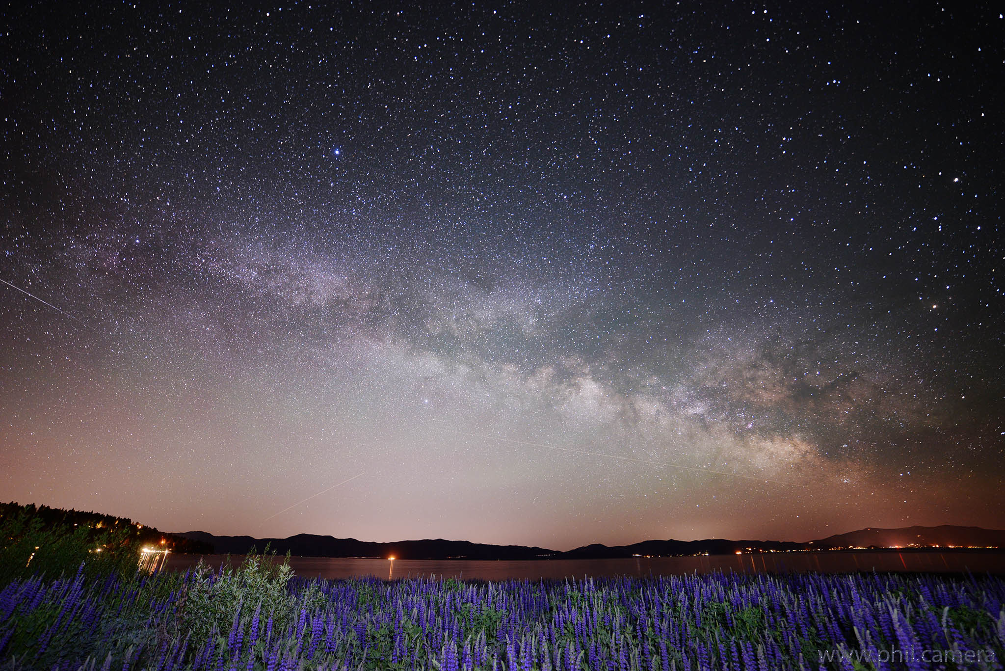 Milky Way over the Lupines - Lake T